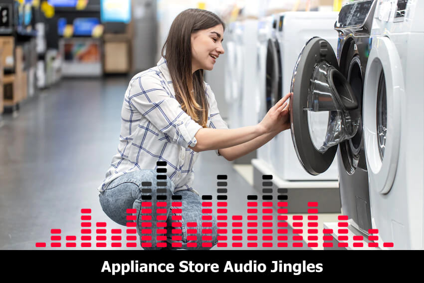professional appliance store jingle company