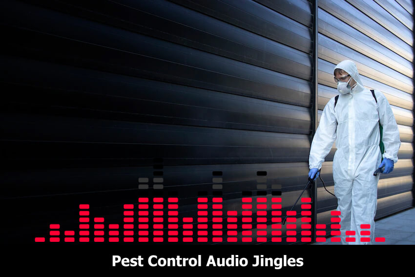 professional pest control jingle company