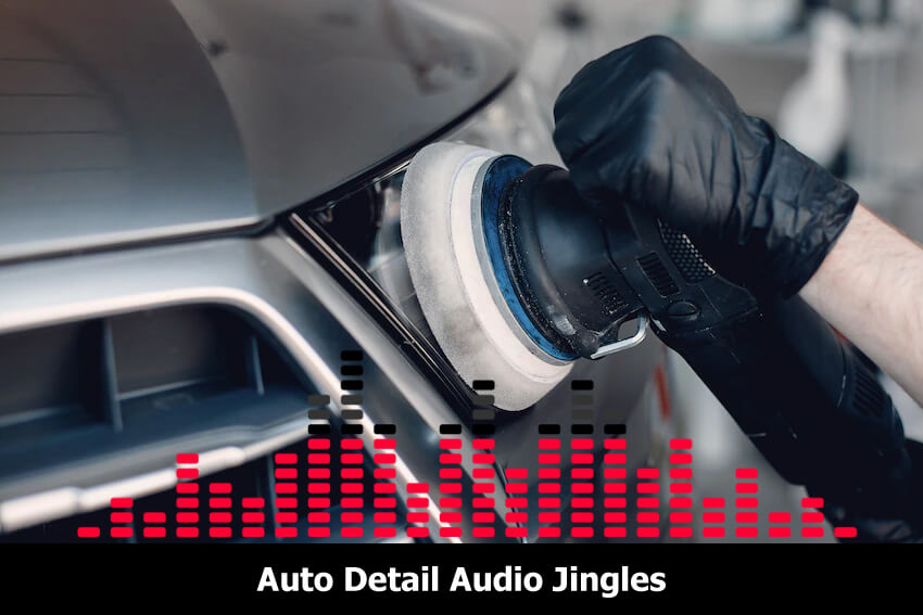 professional auto detail jingle company